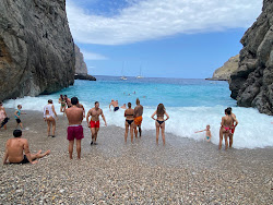 Sa Calobra'in fotoğrafı ve güzel manzarası