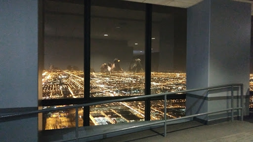 Tower «Willis Tower», reviews and photos, 233 S Wacker Dr, Chicago, IL 60606, USA