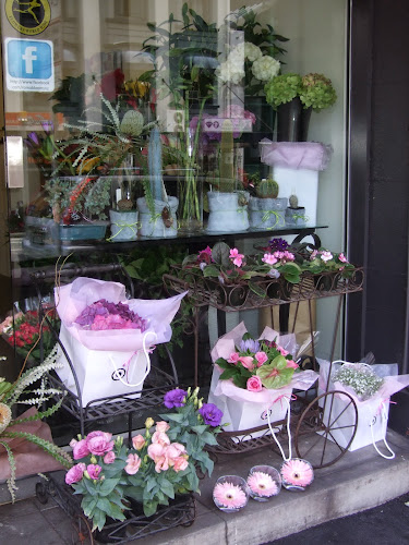 Roma Blooms | CBD Auckland Florist - Florist