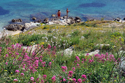 Provence Amazing Tours à Marseille