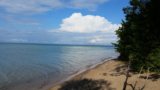 Market «Indianapolis City Market», reviews and photos, 222 E Market St, Indianapolis, IN 46204, USA