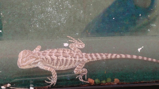 Pet Supply Store «PetSmart», reviews and photos, 144 Retail Commons Pkwy, Martinsburg, WV 25403, USA