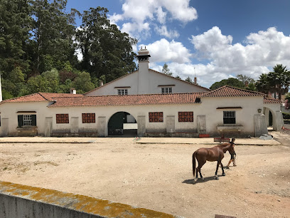 Centro Equestre Quinta da Fonte Santa