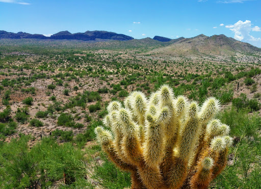 Park «San Tan Mountains Regional», reviews and photos, 6533 W Phillips Rd, Queen Creek, AZ 85142, USA