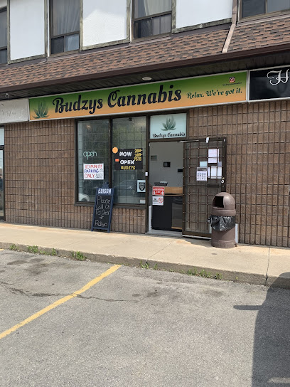 Budzys Cannabis Store