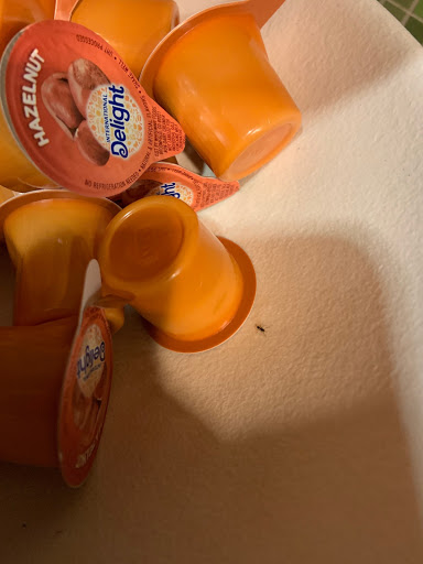 Hotel «Hyatt Place Kansas City/Overland Park/Convention Center», reviews and photos