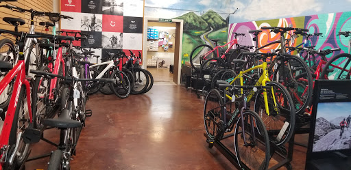 Bicycle Store «Landis Cyclery», reviews and photos, 712 W Indian School Rd, Phoenix, AZ 85013, USA