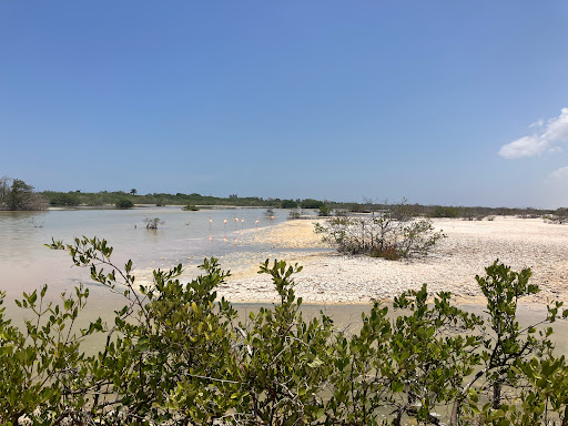 Área Natural Protegida Estatal Ciénagas y Manglares de la Costa Norte de Yucatán