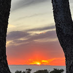 Photo n°2 de l'avis de Lorenz.p fait le 28/04/2023 à 16:07 sur le  Boutique Hotel Torre di Cala Piccola à Porto San Stefano