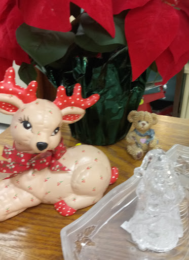 Thrift Store «Sun City Thrift Shop», reviews and photos