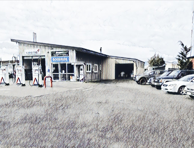 Manapouri Motors 2015