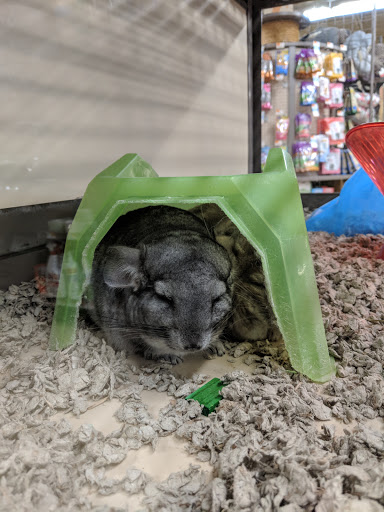 Pet Supply Store «Petco Animal Supplies», reviews and photos, 1391 NJ-35, Middletown, NJ 07748, USA