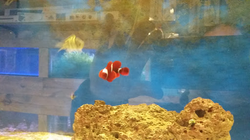 Pet Store «Marineland Pet Center», reviews and photos, 412 Oak Forest Dr, Onalaska, WI 54650, USA