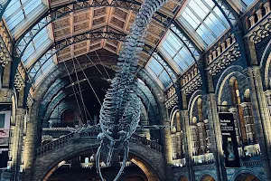 Natural History Museum / Queens Gate (Stop GL) image