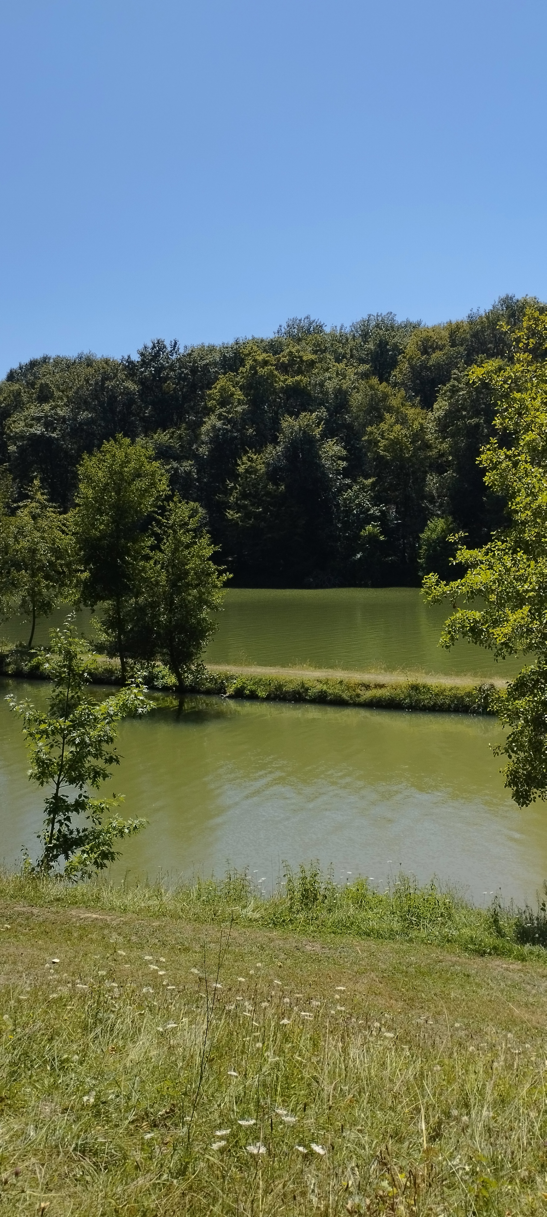 Photo n° 1 de l'avis de Bruno.V fait le 09/08/2023 à 15:47