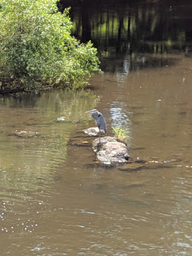 Golf Club «Hopewell Valley Golf & Country Club», reviews and photos, 114 Pennington - Hopewell Rd, Hopewell, NJ 08525, USA