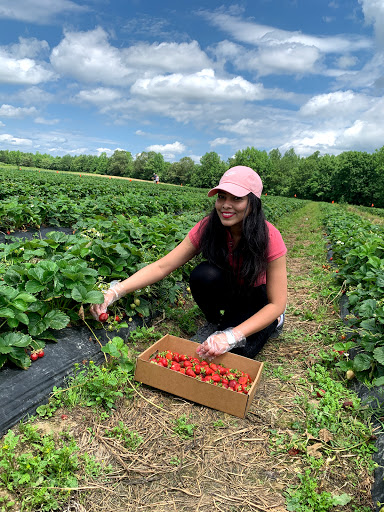 Produce Market «Mt Olympus Berry Farm», reviews and photos, 23298 Jefferson Davis Hwy, Ruther Glen, VA 22546, USA