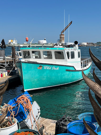 Sightseeing Tour Agency «Lulu Lobster Boat Ride», reviews and photos, 55 West St, Bar Harbor, ME 04609, USA