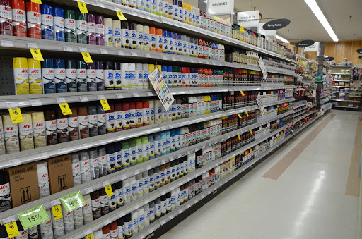 Hardware Store «Ace Hardware & Outdoor Center», reviews and photos, 900 N Galena Ave, Dixon, IL 61021, USA