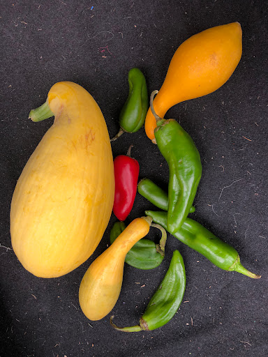 Non-Profit Organization «Food Bank For Larimer County», reviews and photos