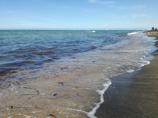 Lido di Tarquinia beach