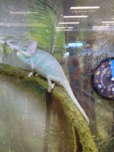 Pet Supply Store «PetSmart», reviews and photos, 6251 N Davis Hwy, Pensacola, FL 32504, USA