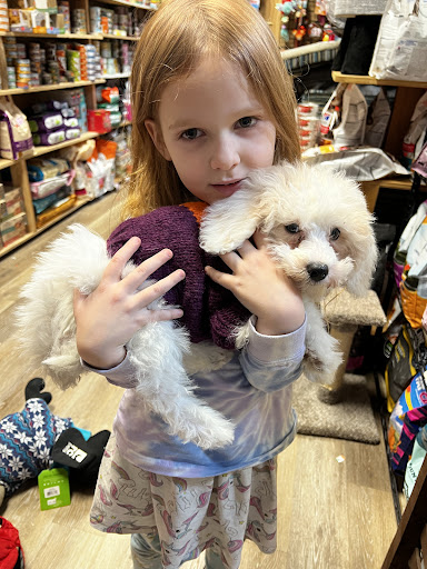 Pet Supply Store «I Love My Pet Food and Supplies», reviews and photos, 899 Nostrand Ave, Brooklyn, NY 11225, USA