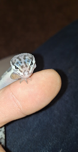 Pet Supply Store «PetSmart», reviews and photos, 3081 S 5600 W, Salt Lake City, UT 84120, USA