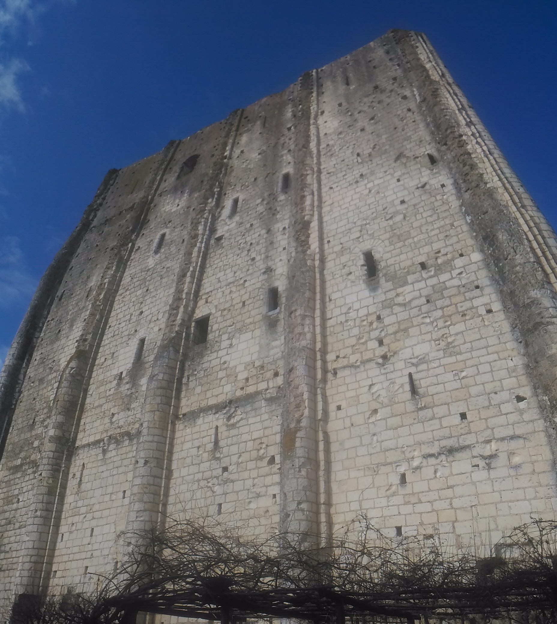 Photo n° 6 de l'avis de Savinien.e fait le 01/03/2018 à 18:17