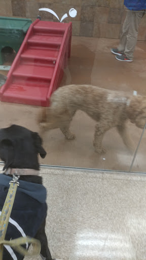 Pet Supply Store «PetSmart», reviews and photos, 1225 Industrial Rd, San Carlos, CA 94070, USA
