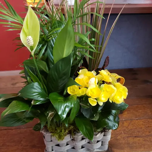 Florist «Flowers By Design», reviews and photos, 2826 Azalea Pl, Nashville, TN 37204, USA