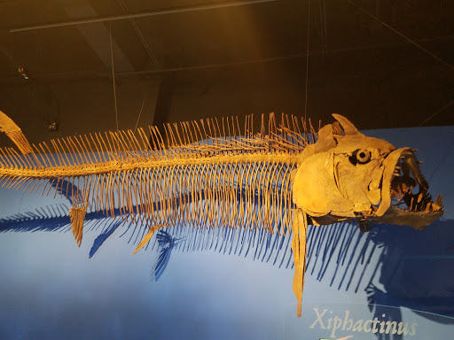 Imax Theater «Mcwane Center IMAX», reviews and photos, 205 19th St N, Birmingham, AL 35203, USA