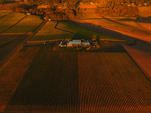 Winery «Methven Family Wines», reviews and photos, 11400 SE Westland Ln, Dayton, OR 97114, USA