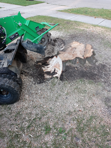Tree Service «Polgar Tree Service & Removal LLC», reviews and photos