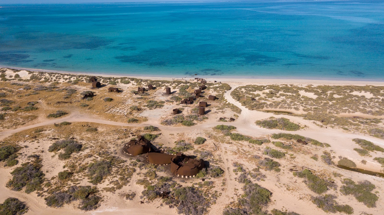 Ningaloo Coast Beach'in fotoğrafı vahşi alan