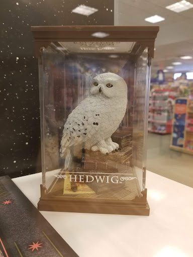 Book Store «Barnes & Noble», reviews and photos, 2443 Vestal Pkwy E, Vestal, NY 13850, USA