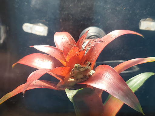 Zoo «Lake Superior Zoo», reviews and photos, 7210 Fremont St, Duluth, MN 55807, USA