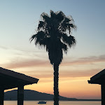 Photo n°9 de l'avis de Nicola.o fait le 15/06/2023 à 16:49 sur le  Hotel Porto Conte (Hotel Port del Comte) à Maristella