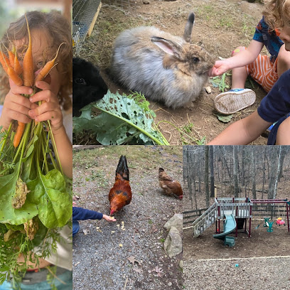 Forest Friends Nursery