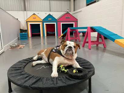 Doggy Days Boutique, Creche & Grooming Salon Rated 5* by Northumberland County Council