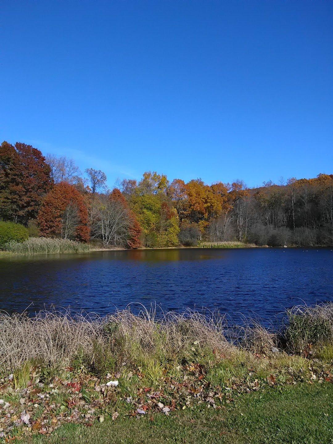 Abe Stone Park