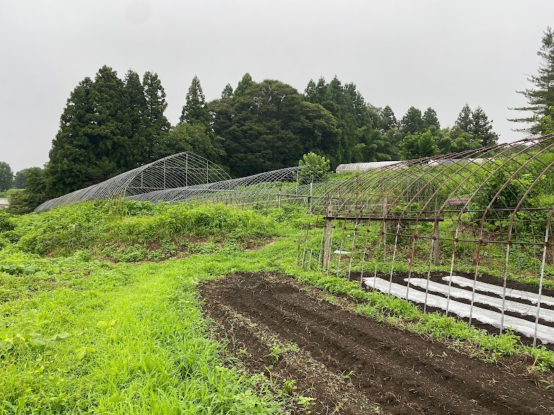 権田城跡