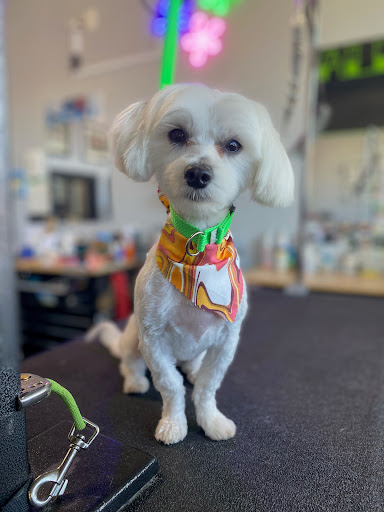 Tooth & Nail Grooming Salon