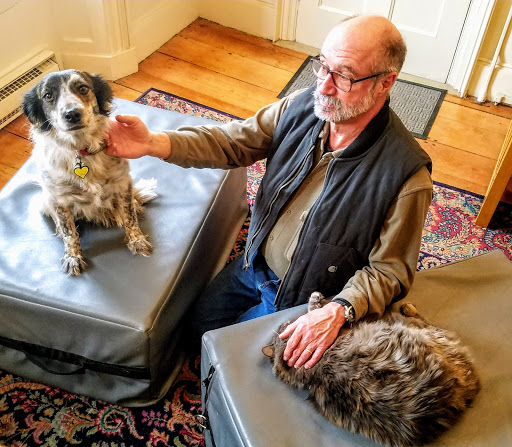 All Creatures Acupuncture Holistic Veterinary Therapies image