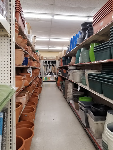 Discount Store «Ocean State Job Lot», reviews and photos, 30 Commercial St, Medford, MA 02155, USA