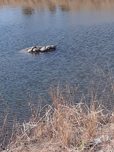 Park «Yukich Field», reviews and photos, 8900 S Kedzie Ave, Evergreen Park, IL 60805, USA