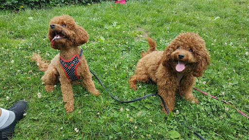 National Park «Hamilton Grange National Memorial», reviews and photos, 414 W 141st St, New York, NY 10031, USA