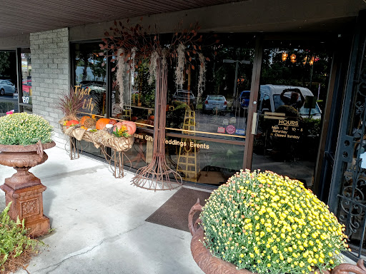 Tiger Lily, 1619 Desoto Rd, Sarasota, FL 34234, USA, 