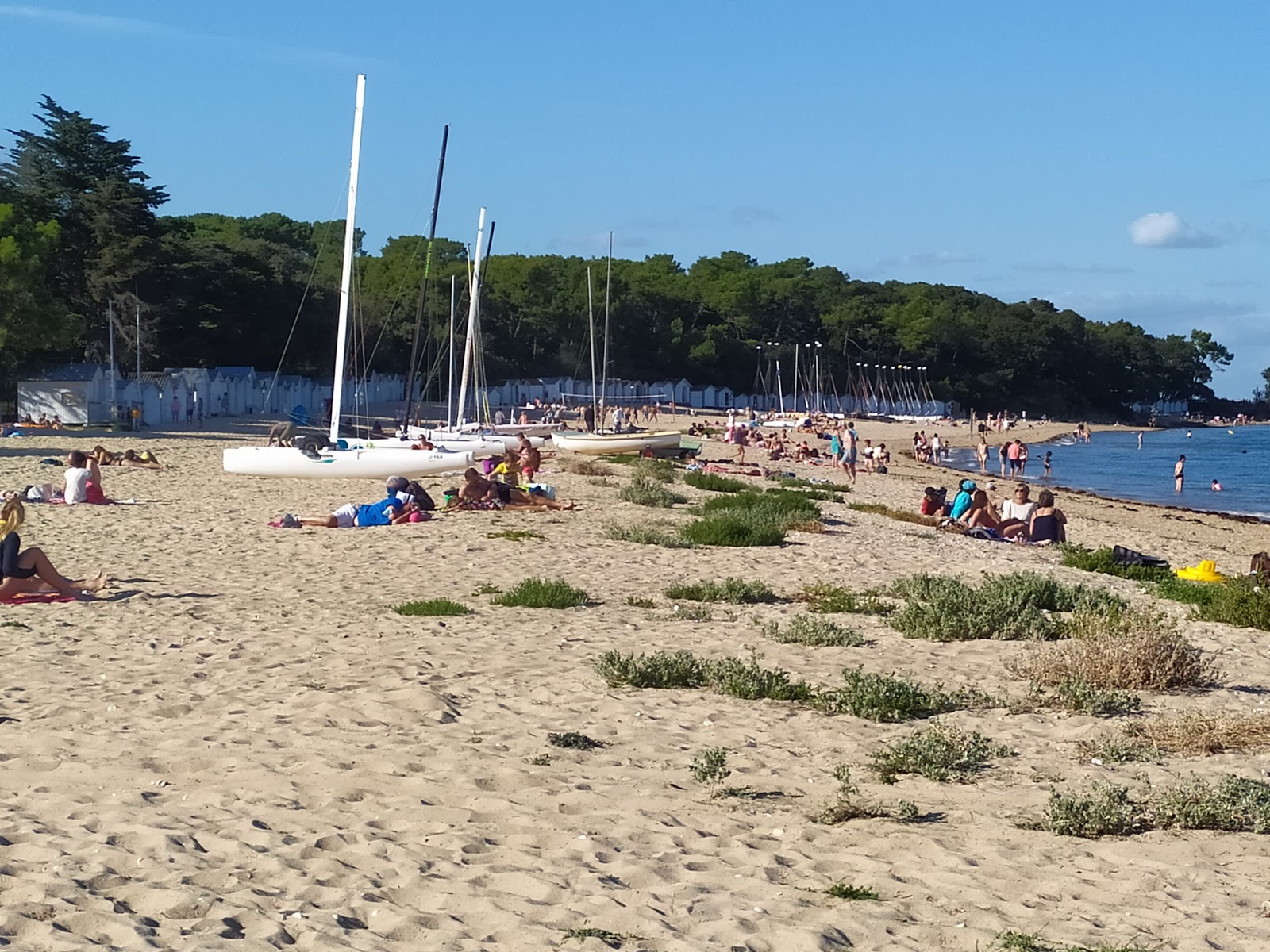 Plage des Sableaux photo #8