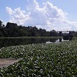 New Savannah Bluff Lock & Dam Park